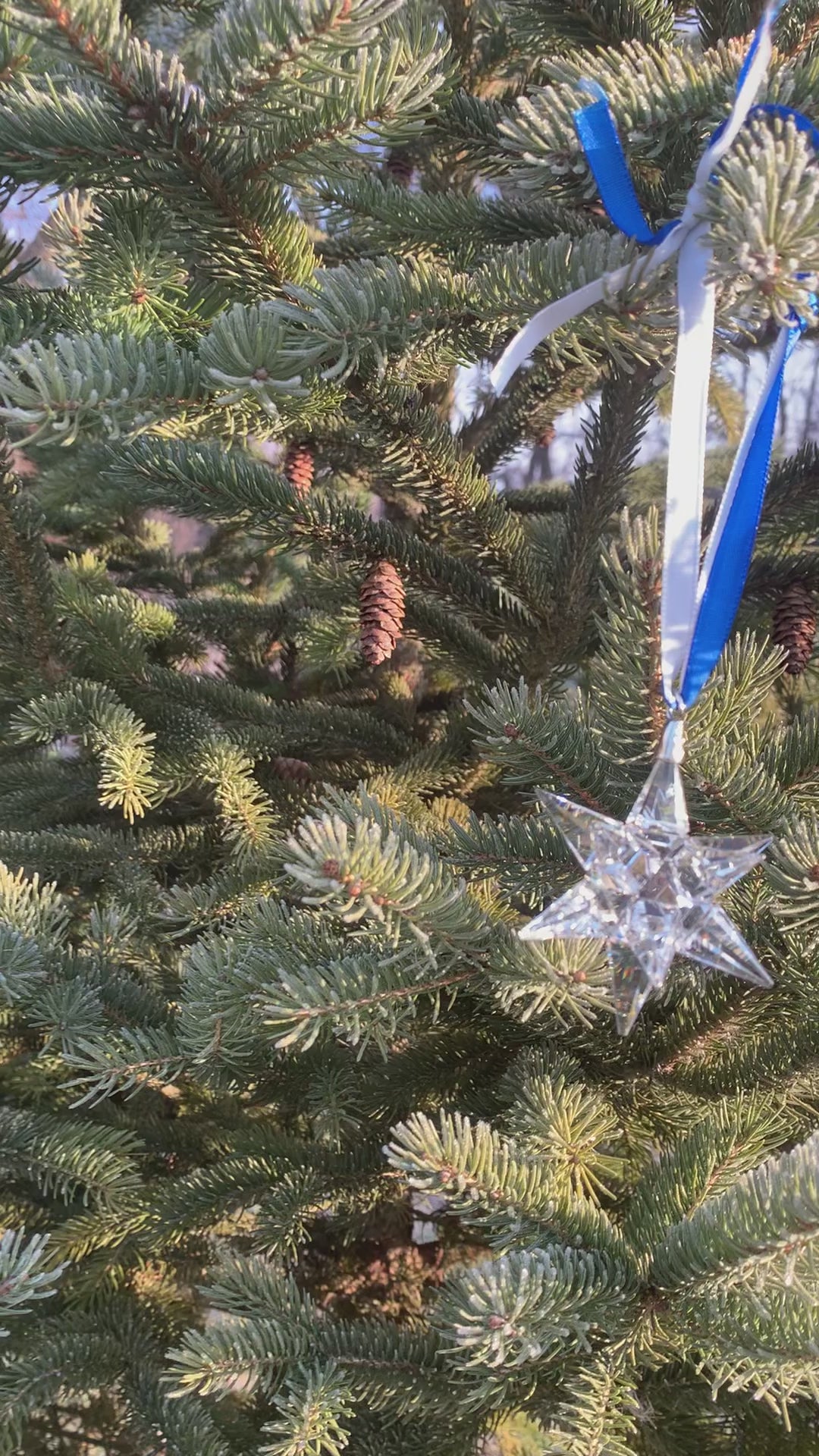K9 Optical Crystal 12 point Star Ornament