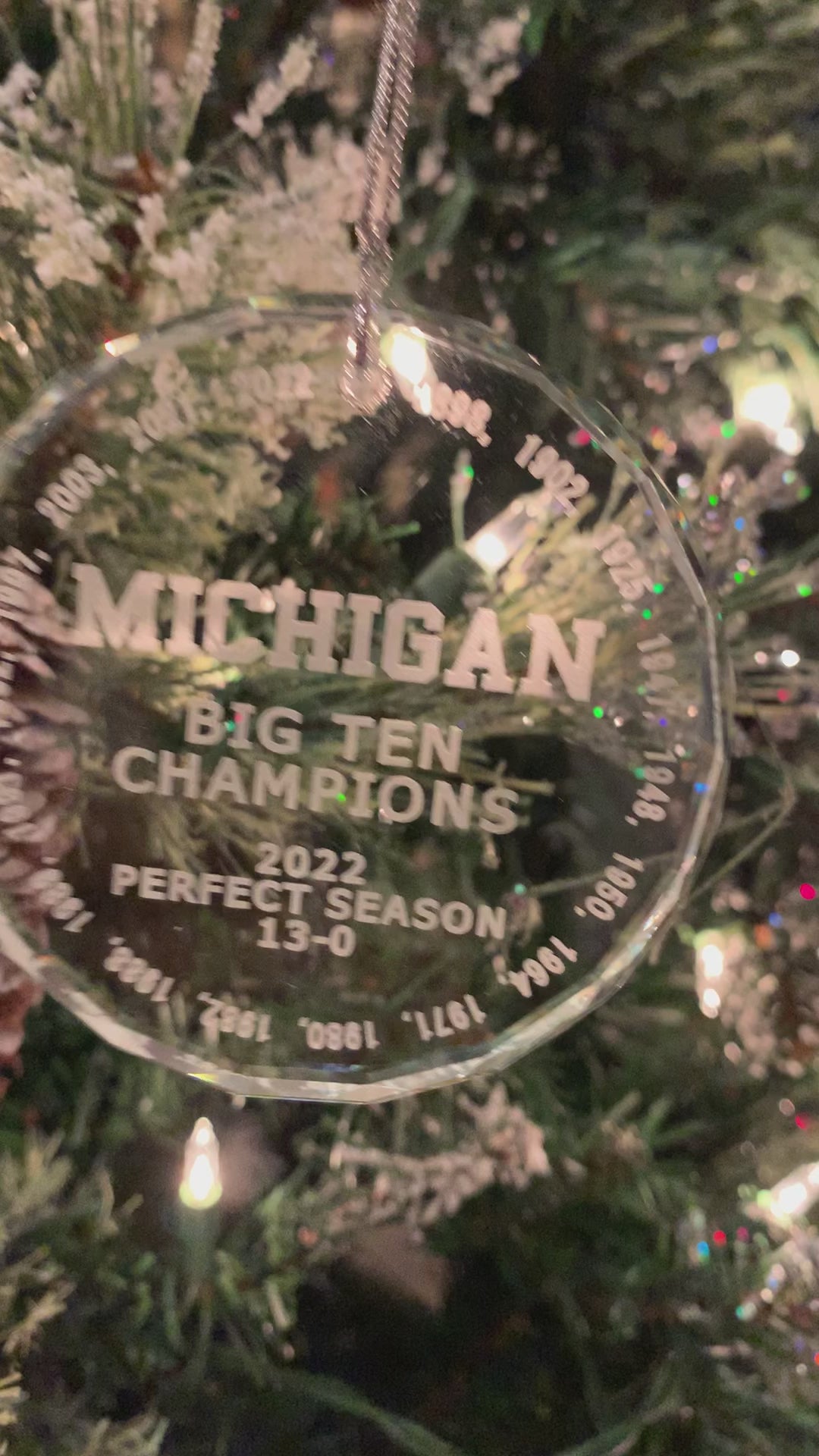 UM University of Michigan BIG 10 champions all years 2022 Crystal Ornament Wolverines