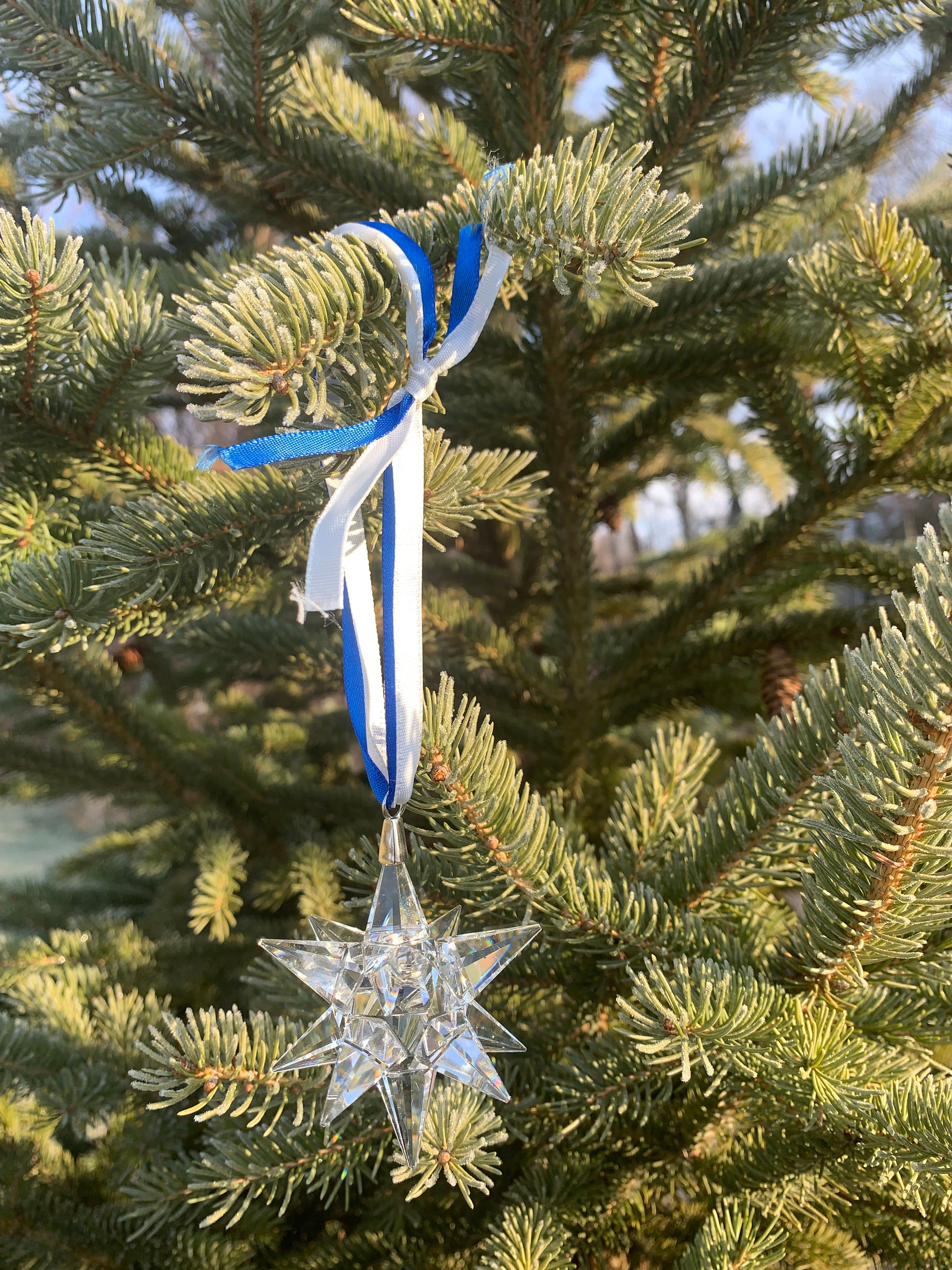 K9 Optical Crystal 12 point Star Ornament