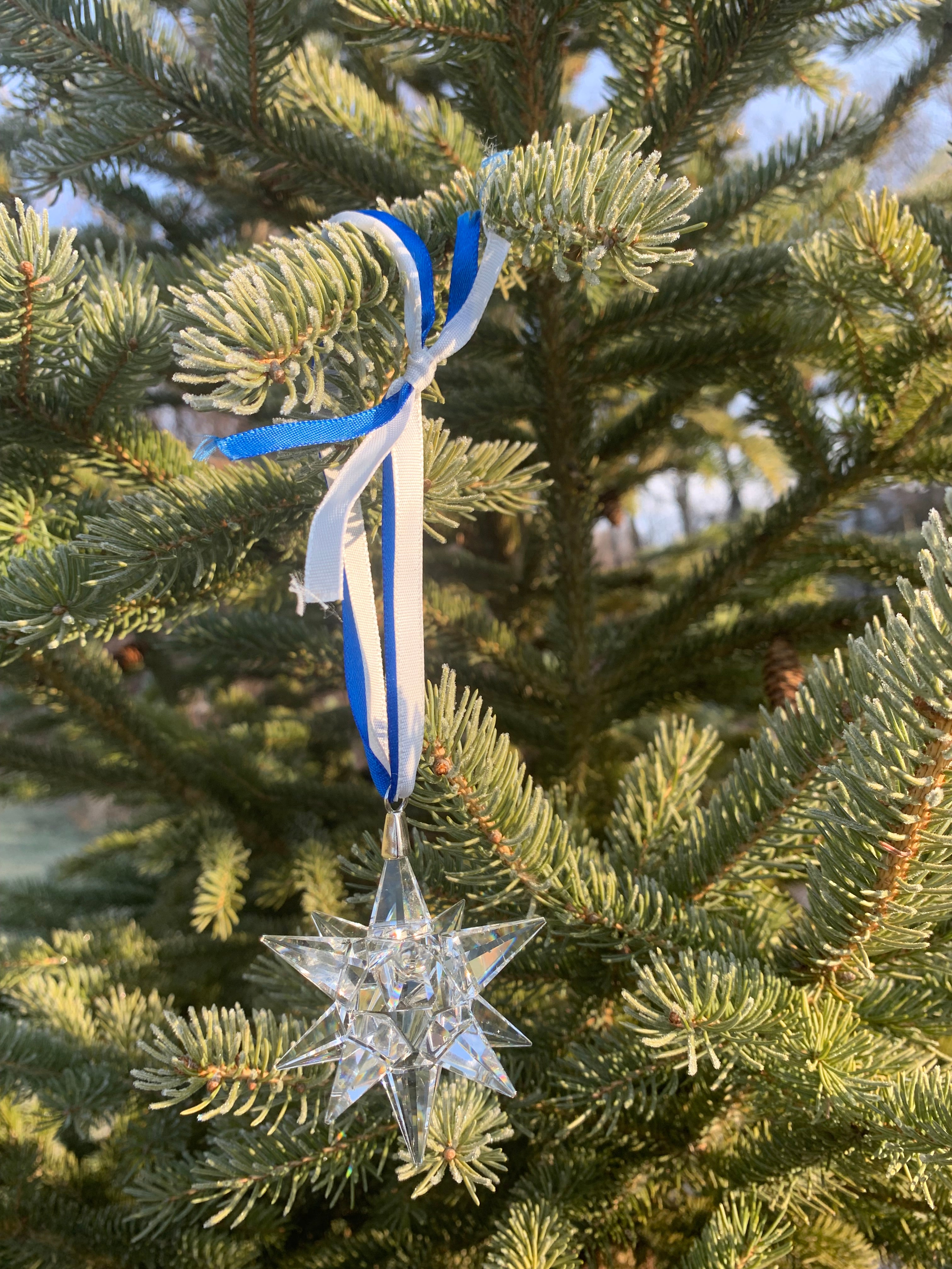 K9 Optical Crystal 12 point Star Ornament