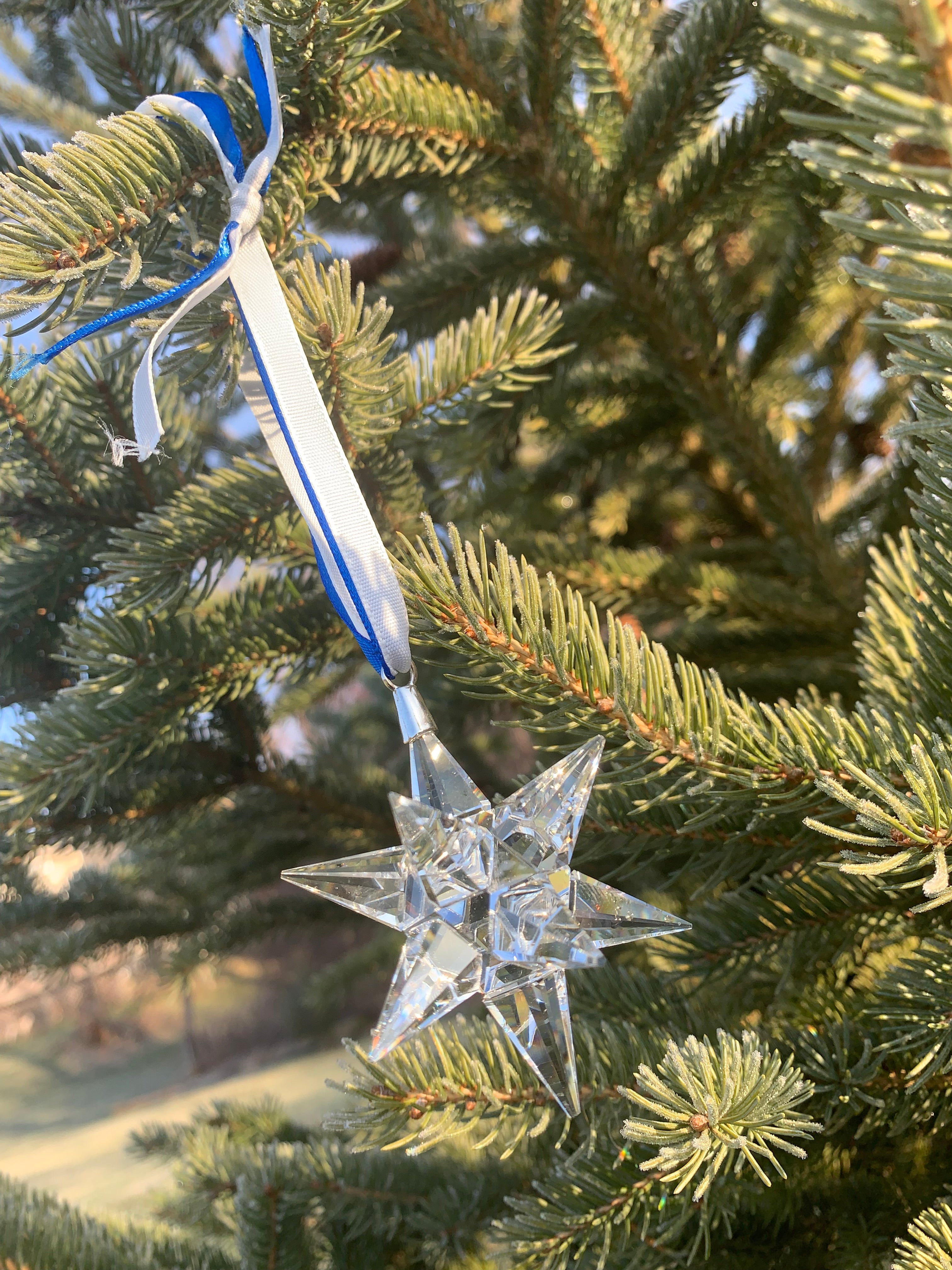 K9 Optical Crystal 12 point Star Ornament