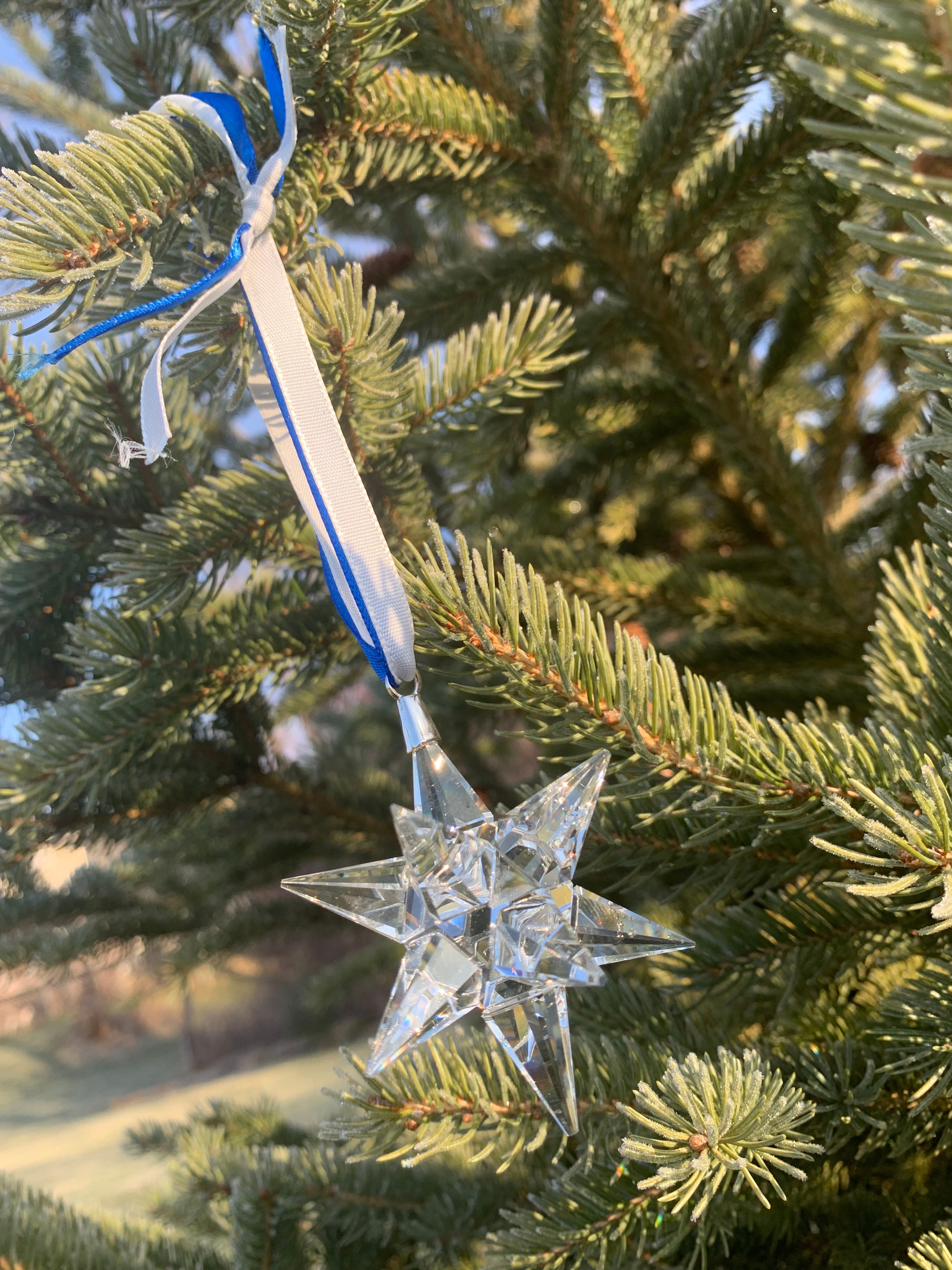 K9 Optical Crystal 12 point Star Ornament